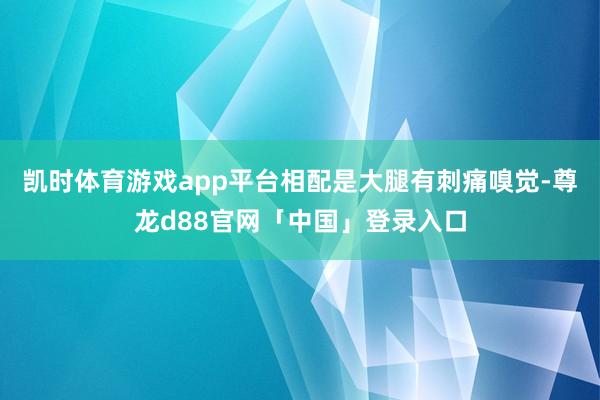 凯时体育游戏app平台相配是大腿有刺痛嗅觉-尊龙d88官网「中国」登录入口