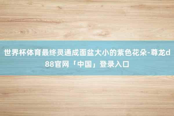 世界杯体育最终灵通成面盆大小的紫色花朵-尊龙d88官网「中国」登录入口