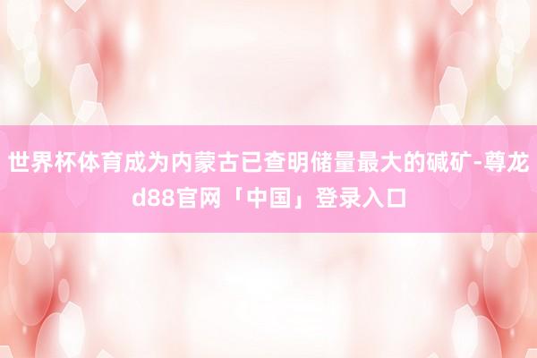 世界杯体育成为内蒙古已查明储量最大的碱矿-尊龙d88官网「中国」登录入口