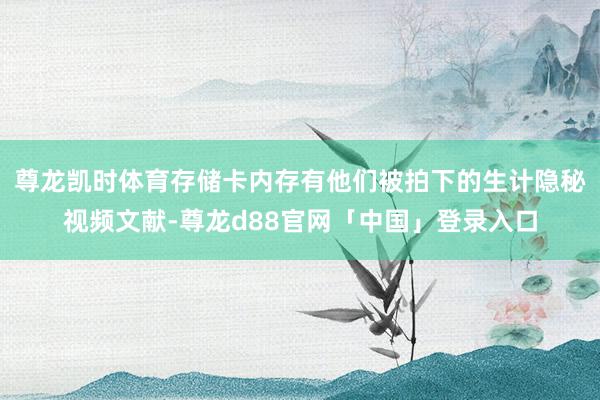 尊龙凯时体育存储卡内存有他们被拍下的生计隐秘视频文献-尊龙d88官网「中国」登录入口