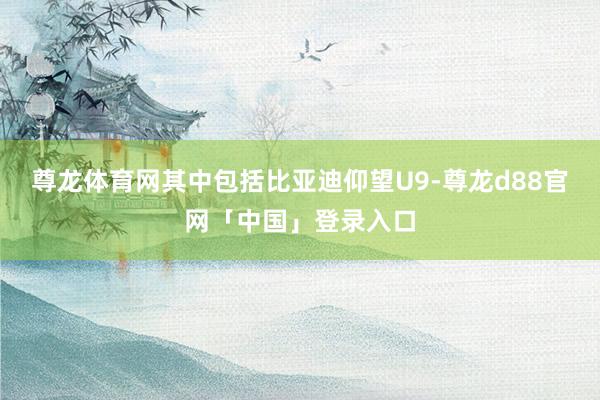 尊龙体育网其中包括比亚迪仰望U9-尊龙d88官网「中国」登录入口