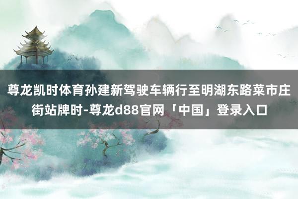 尊龙凯时体育孙建新驾驶车辆行至明湖东路菜市庄街站牌时-尊龙d88官网「中国」登录入口