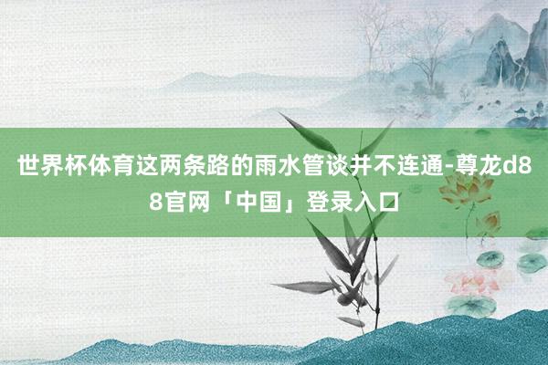 世界杯体育这两条路的雨水管谈并不连通-尊龙d88官网「中国」登录入口