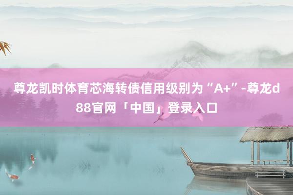 尊龙凯时体育芯海转债信用级别为“A+”-尊龙d88官网「中国」登录入口