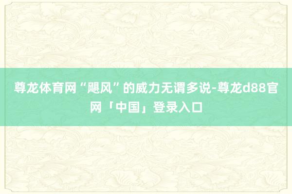 尊龙体育网“飓风”的威力无谓多说-尊龙d88官网「中国」登录入口