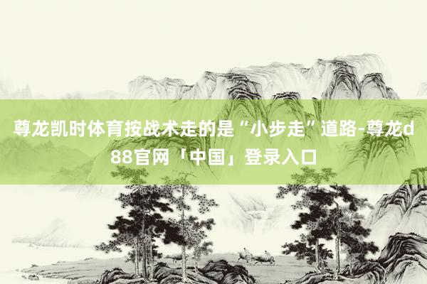 尊龙凯时体育按战术走的是“小步走”道路-尊龙d88官网「中国」登录入口