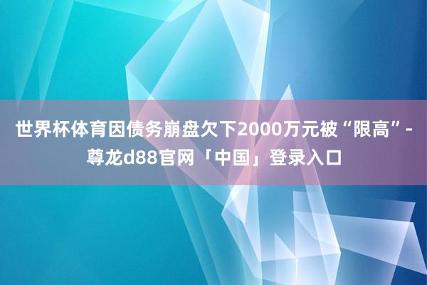 世界杯体育因债务崩盘欠下2000万元被“限高”-尊龙d88官网「中国」登录入口