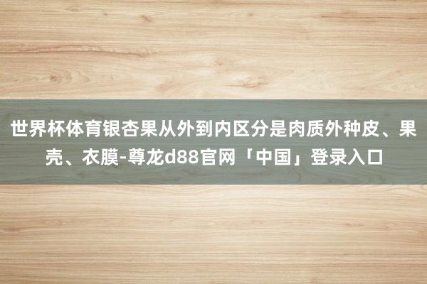 世界杯体育银杏果从外到内区分是肉质外种皮、果壳、衣膜-尊龙d88官网「中国」登录入口
